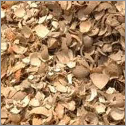 Groundnut Husk