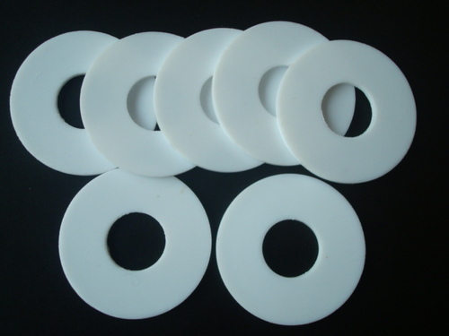 PTFE Solid Gasket