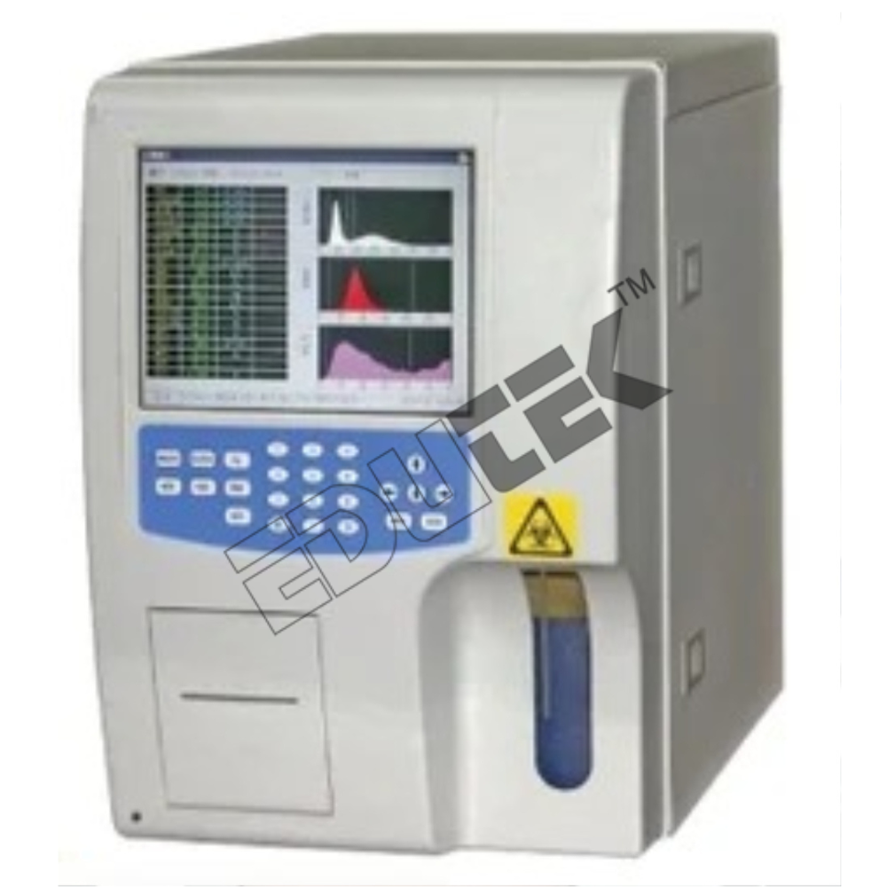 Auto Hematology Analyzer Eta-31 - Parameters: Wbc, Rbc, Plt, Hgb, Ac110-240v Power, 2-minute Throughput, 35000 Memory Results, Color Lcd Display
