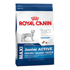 Royal Canin Maxi Junior - Active Dry Dog Food
