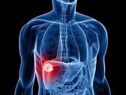 Gastroenterology
