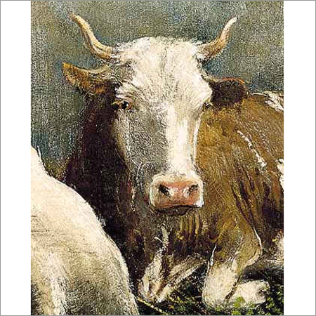 Oil Painting
