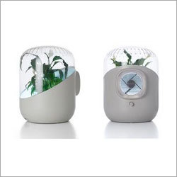 Air Purifier Plant