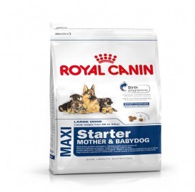 Royal Canin Maxi Starter - Mother & Babydog Dry Food