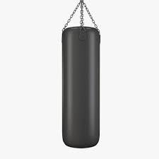 Boxing Punching Bag