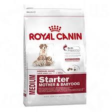 Royal Canin Medium Starter  Mother & Babydog Dry Dog Food