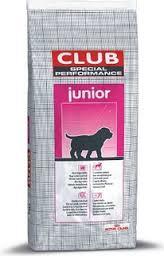 Royal Canin Special Club Performance Junior Dry Dog Food