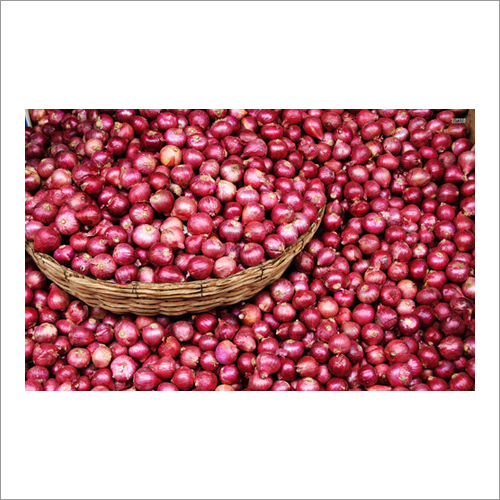 Small onion
