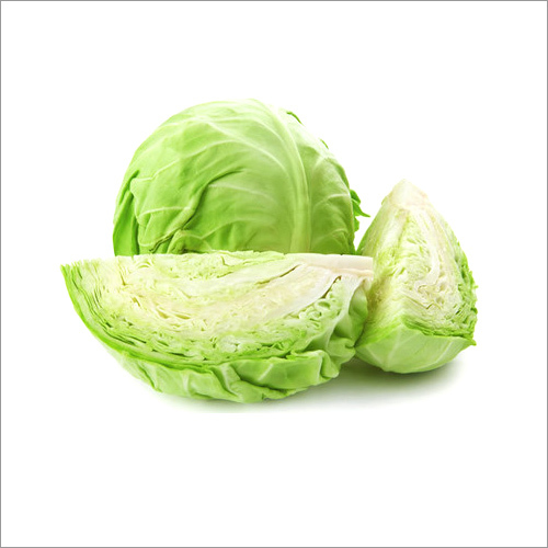 Cabbage