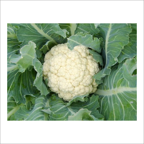 Cauliflower