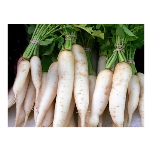 Radish