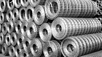SS Welded Wire Mesh