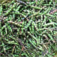 Cooking Pigeon Peas