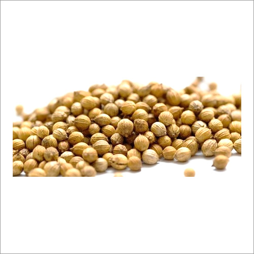 Coriander Seeds