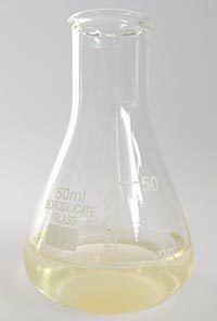 Erlenmeyer Flask Wide Neck