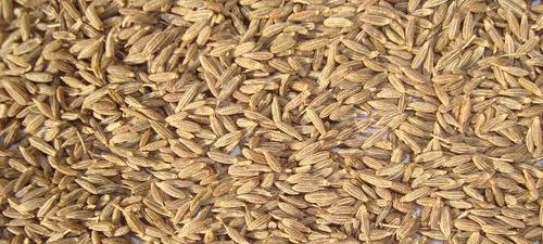 Cumin Seeds