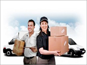 Domestic Shipping Services