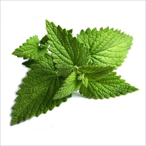 Peppermint Oil