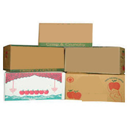 Fruit Carton Boxes
