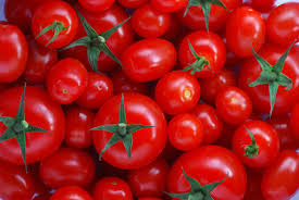 Fresh Beef Tomato, Fresh Plum Tomatoes For Sale