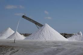 Salt Expoter