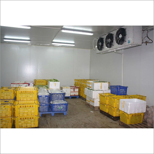 Cold Room 12