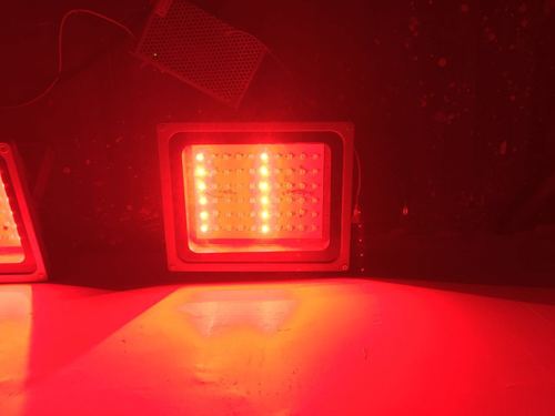 Rgbw led light