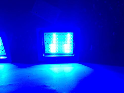 Rgbw led light