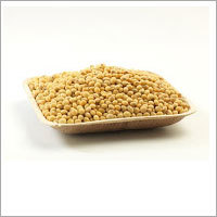 Soya Bean