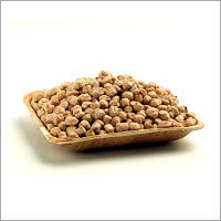 Chick Pea