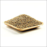 Pearl Millet