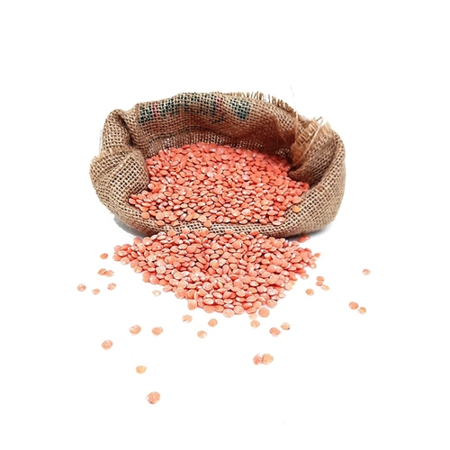 Organic Masoor Malka Whole