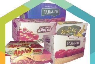Fruit Packaging Boxes