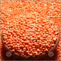 Masoor Daal
