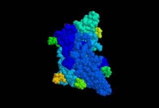 Follicle Stimulating Hormone