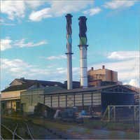 Sugar Plants