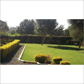 Patio Landscaping Contractors