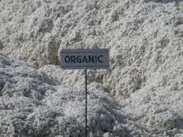 Raw Organic Cotton