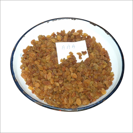Yellow Raisins