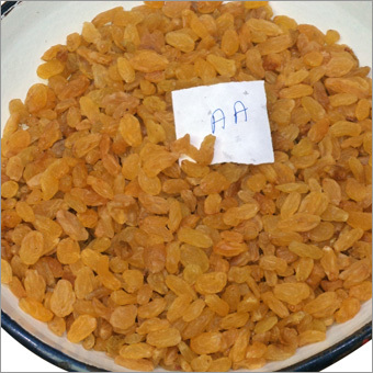 Golden Raisins