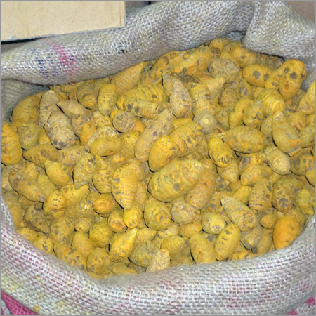 Dry Turmeric