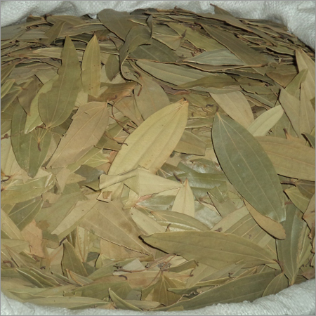Indian Bay Leaf