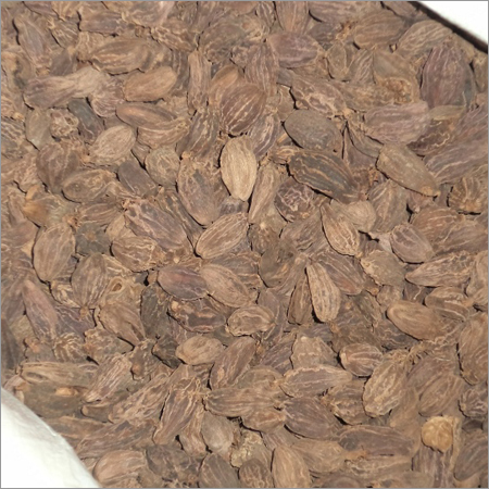 Black Cardamom