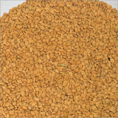 Fenugreek Seed