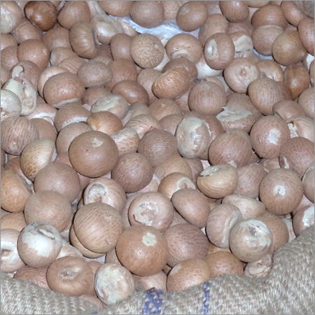 Arecanuts