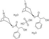 Hyoscyamine Sulphate Hydrate