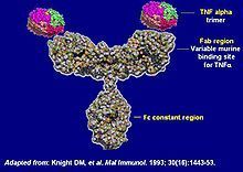 Infliximab