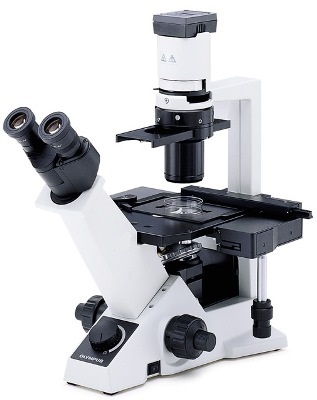 Inverted Microsciopes