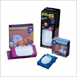 Paper Window Boxes