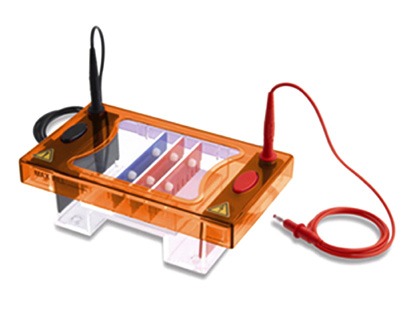 Midi Plus -1 and Midi Plus - 2 Horizontal Gel Electrophoresis System